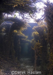 Shallow's. Connemara. D200, 10.5mm. by Derek Haslam 